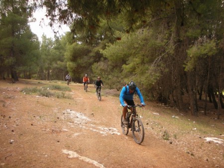 Sa'ad leads our group through Shwaifat Forest