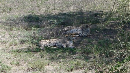 Such big beautiful eyes on the little lady