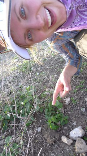 Go Rebecca! Dig that mound! Lay those eggs!