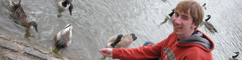 A random image